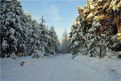《黑神话：悟空》实体豪华典藏版泄露 820元起限量三万套